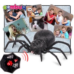 CB784329 - Remote control spider