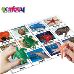 CB891231 - Match marine life