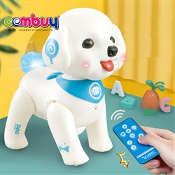 CB896753 - Remote intelligent programming Teddy