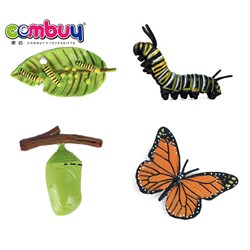 CB957489-CB957492 - Insect growth cycle