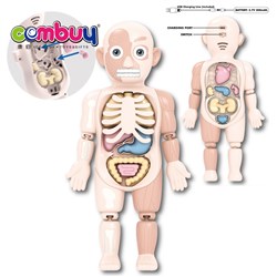 KB095816-KB095817 - Educational Button Sound Science Exploration Model Diy 3d Human Body Toy